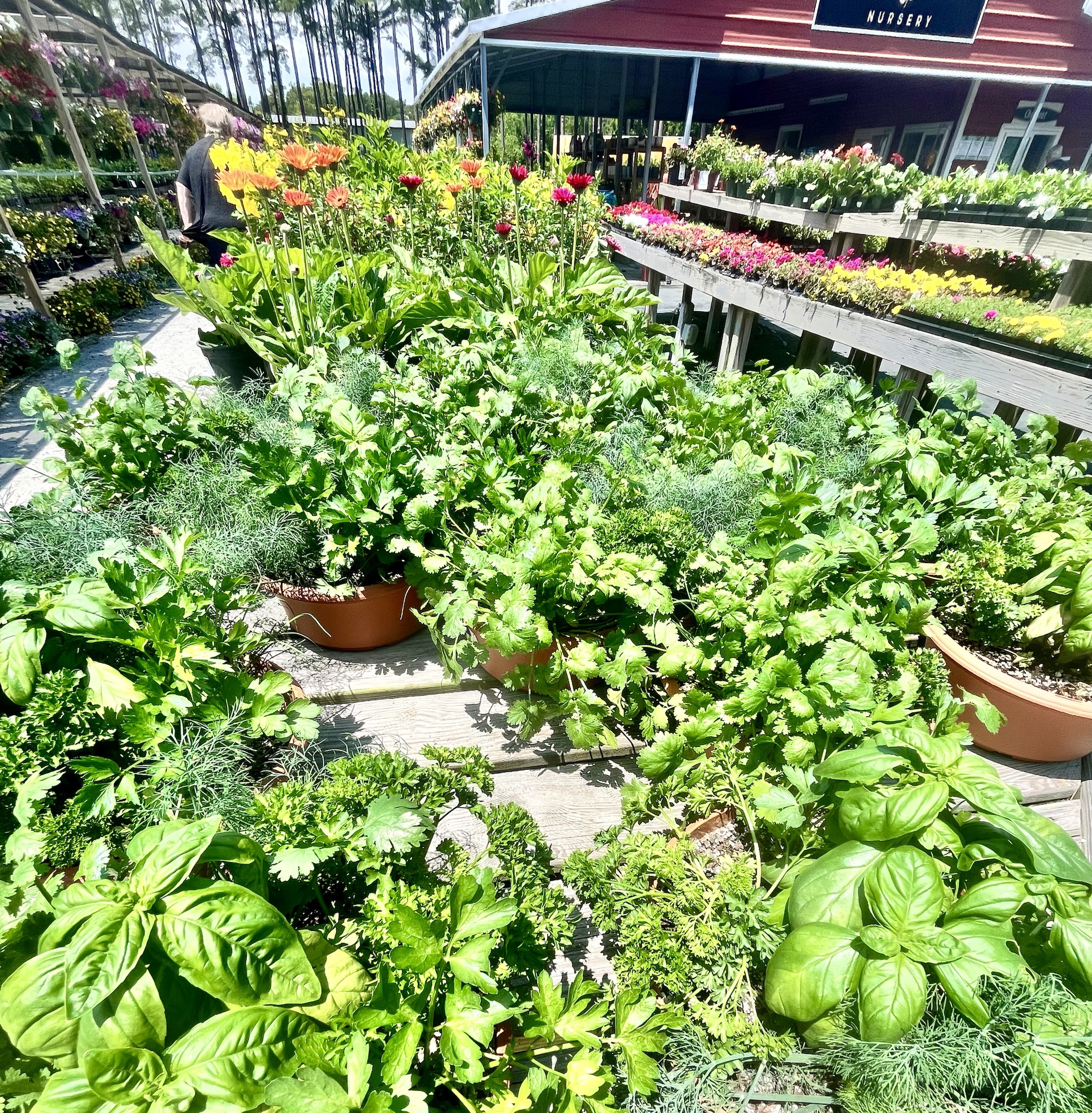 Friendly Market Fresh Herbs